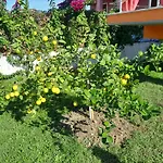 Orange Apartment Vlorë
